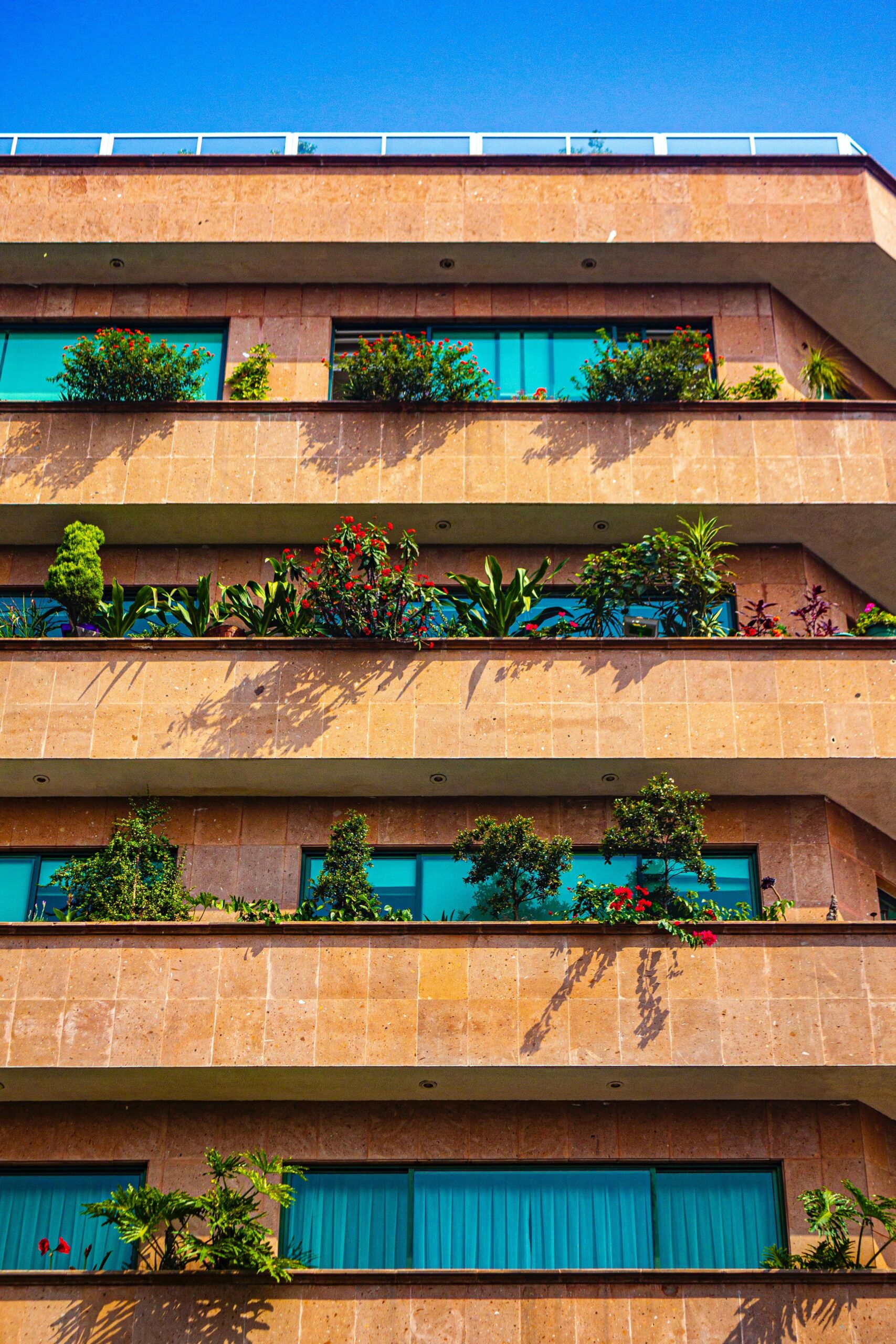 Malia Manocherian: Pioneering Sustainable Real Estate Development